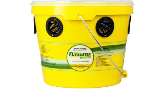 eco-friendly flytrap