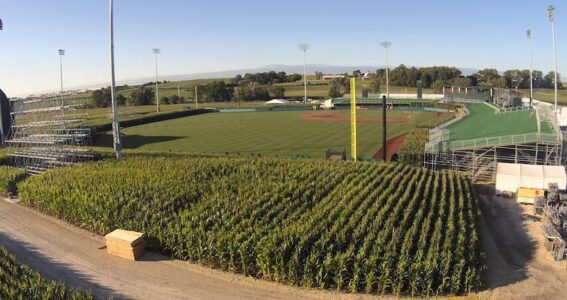 Field of Dreams