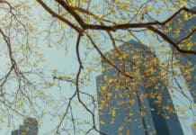 Commercial Real Estate Sustainability