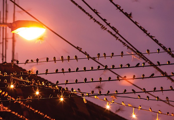 outdoor lighting
