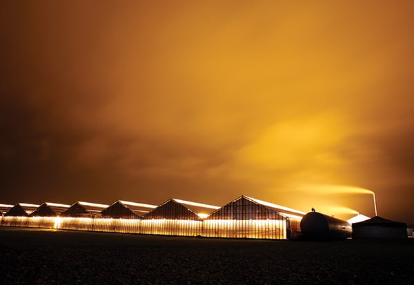 outdoor lighting